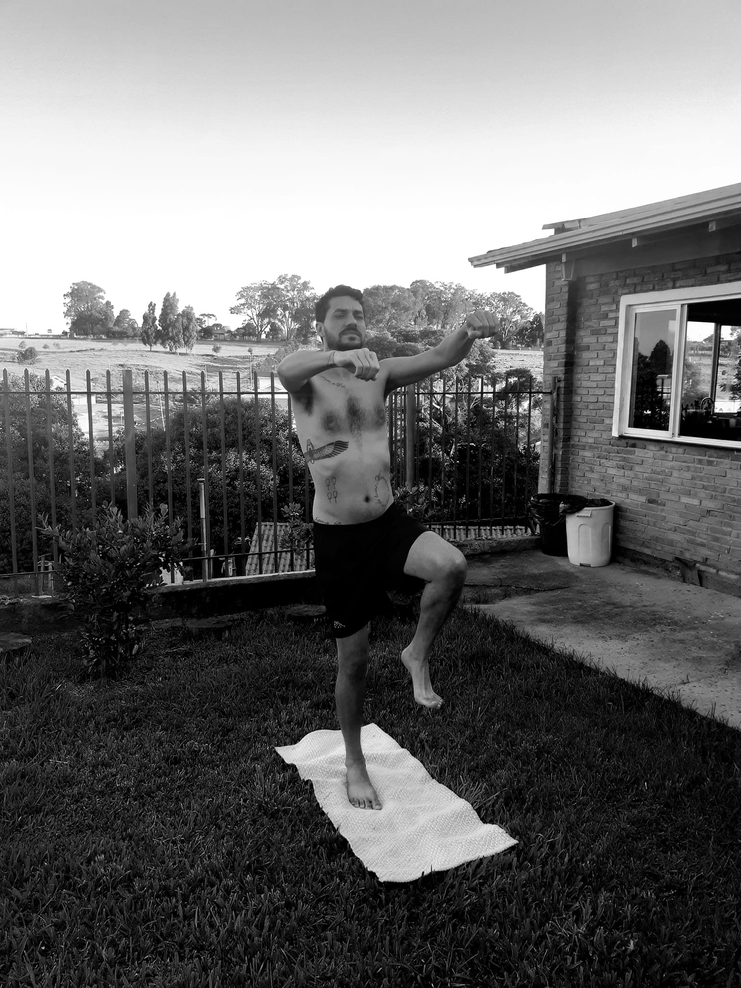 Ocultismo do animal selvagem, cavalo do novo Deus Vinícius!